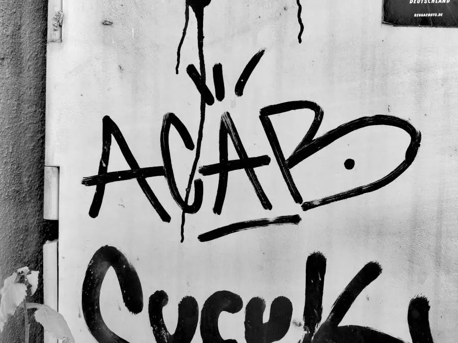 All cats are beautiful